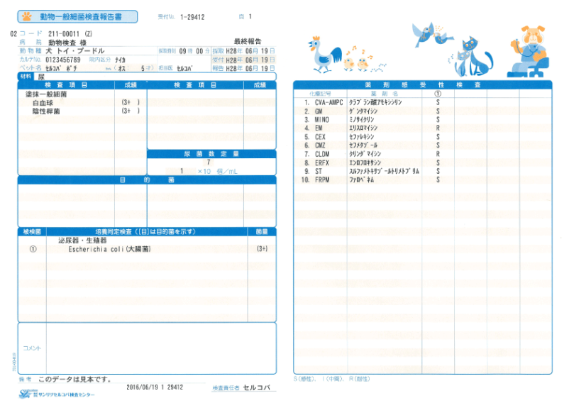 報告書サンプル